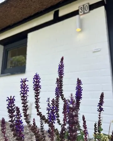 Gemuetliches Reetdachhaus * Oesterdeichstrich